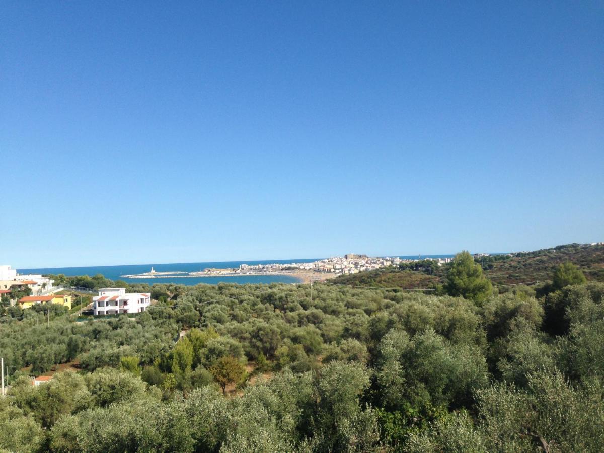Vill'Aura Apartment Vieste Bagian luar foto