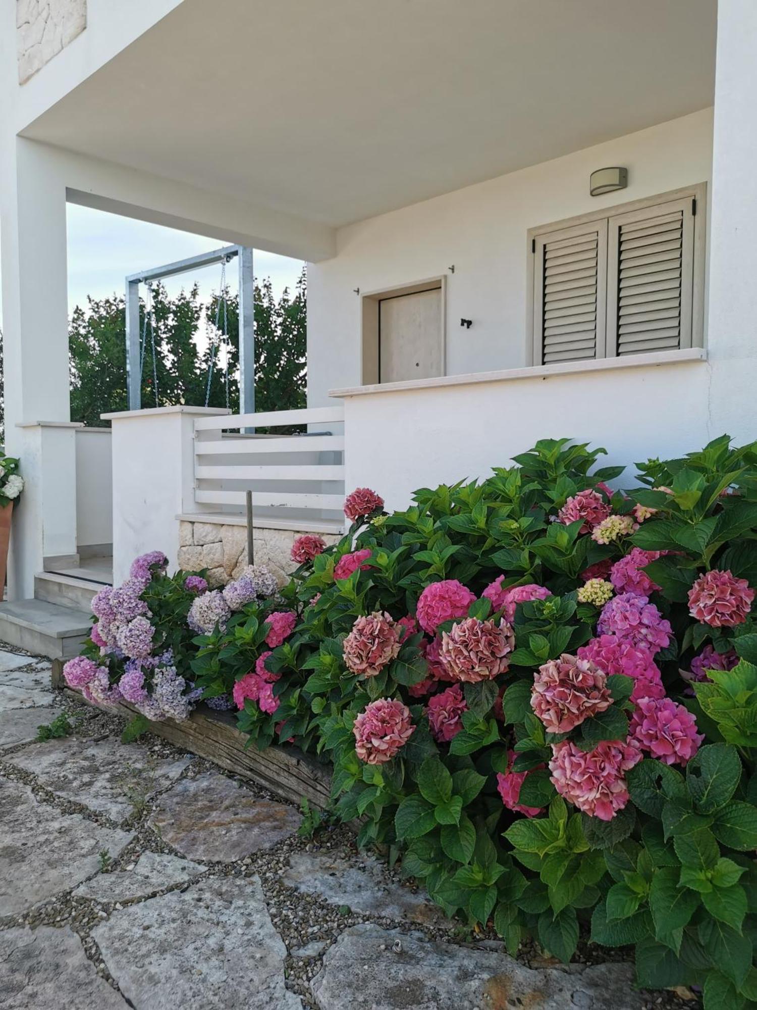 Vill'Aura Apartment Vieste Bagian luar foto