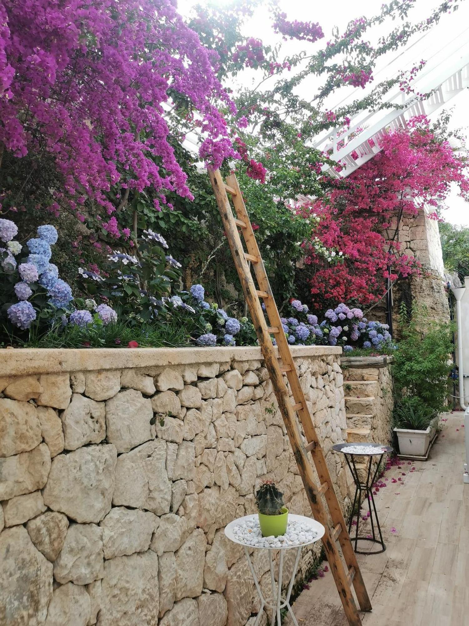Vill'Aura Apartment Vieste Bagian luar foto